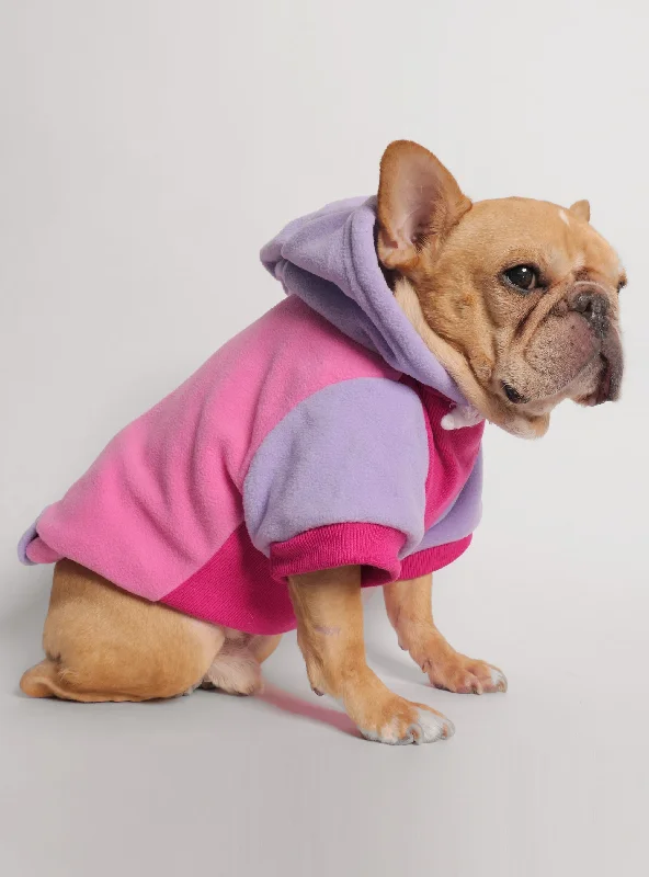 Extra Discount Ferris Dog Hoodie
