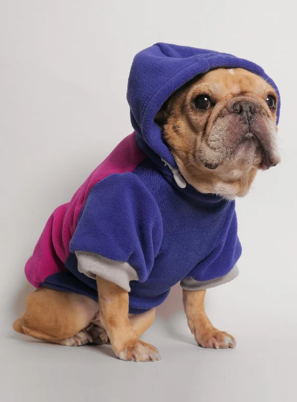 Great Bargain Rooney Dog Hoodie
